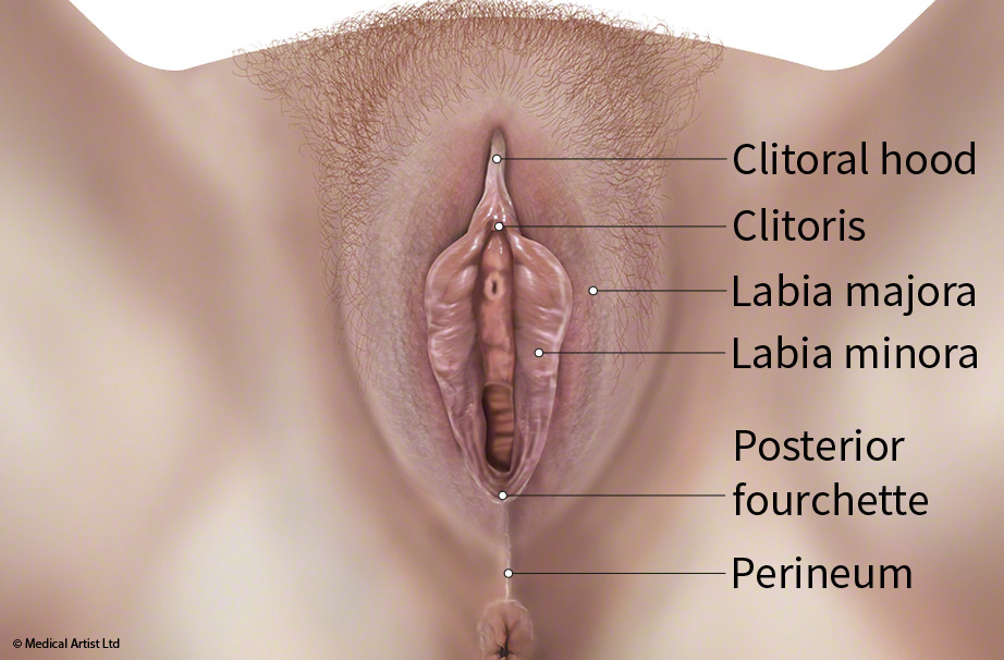 hood of a clitoris Bath nude body art